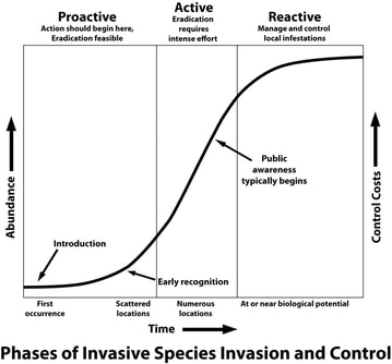 Graph of the Phases of Invasive Species Invasion and Control