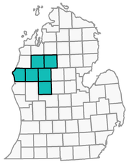 A map of Michigan highlighting Lake, Mason, Mecosta, Missaukee, Osceola, and Wexford counties 